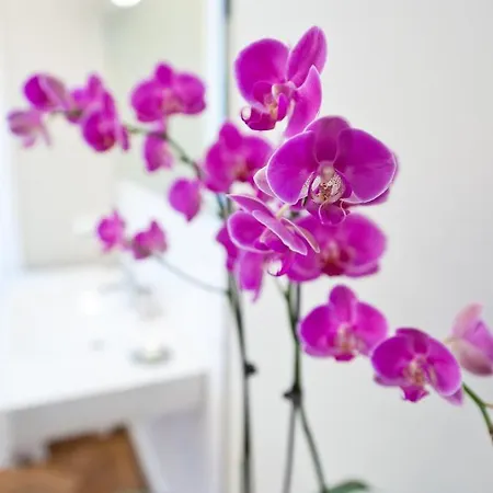 Appartamento Jenatsch