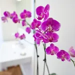 Appartement Jenatsch